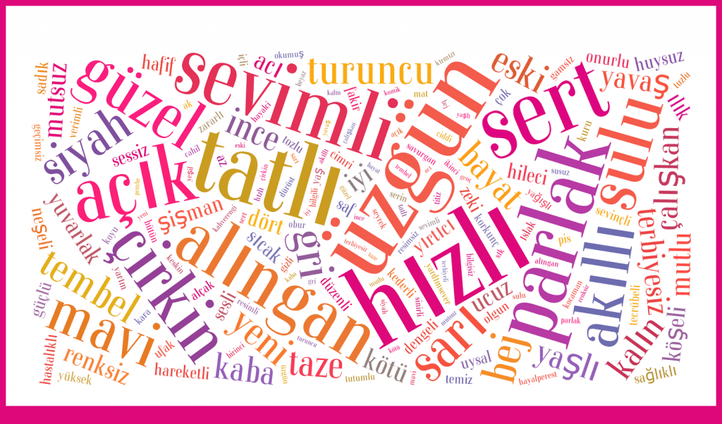 Çevirmenler İçin Türkçe: Ön Adlar ve Adıllar
