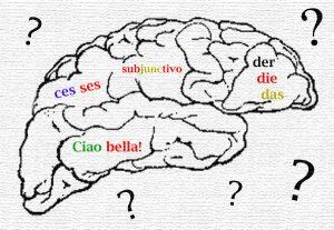 language_brain