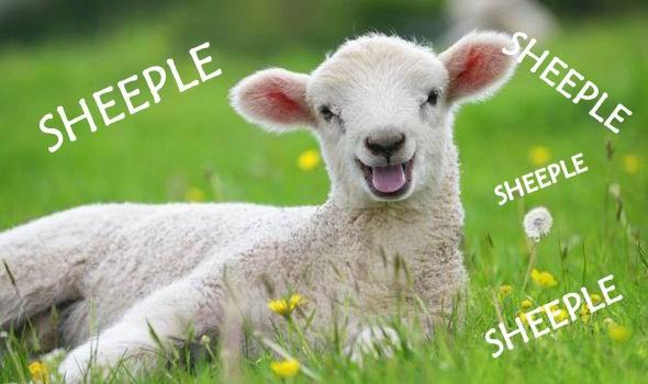 İngilizceye Yeni Bir Kelime: Sheeple!