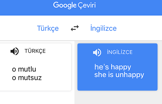 Dünya Gündemine Bomba Gibi Gelen Haber: Cinsiyetçi Çevirileri ile Google!