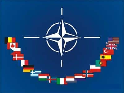 Bazı Dillerde NATO Terimleri