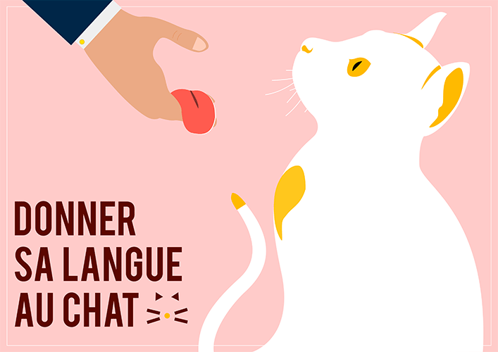 Deyimsel Perşembe: Donner Sa Langue Au Chat