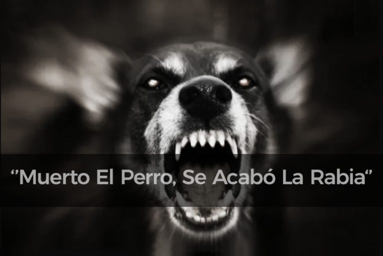 Deyimsel Perşembe: Muerto El Perro, Se Acabó La Rabia