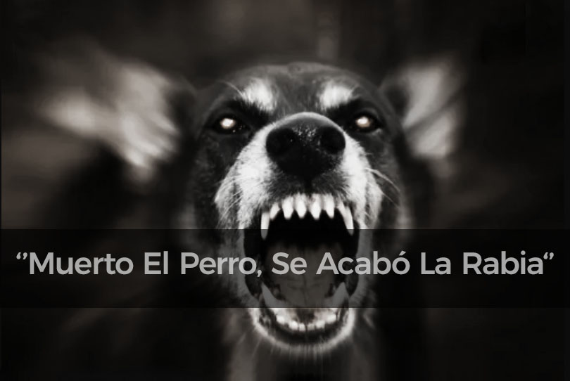 Deyimsel Perşembe: Muerto El Perro, Se Acabó La Rabia